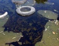 /album/fotogaleria-galeria/fotos-prezi-comprimidas-19-jpg1/